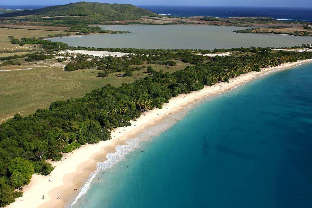 Holidays In Martinique - Ravenala Sainte-Anne Exteriér fotografie