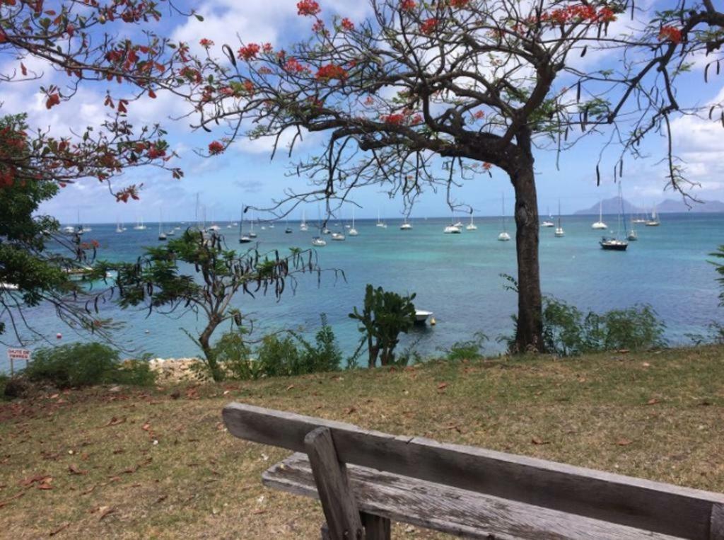 Holidays In Martinique - Ravenala Sainte-Anne Exteriér fotografie
