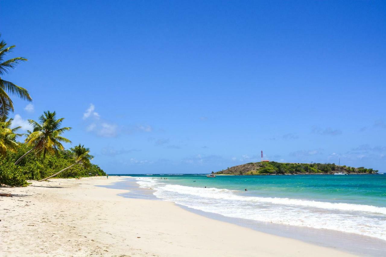 Holidays In Martinique - Ravenala Sainte-Anne Exteriér fotografie